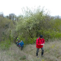 P1190767  Zona collinare. Flavio Castegini.